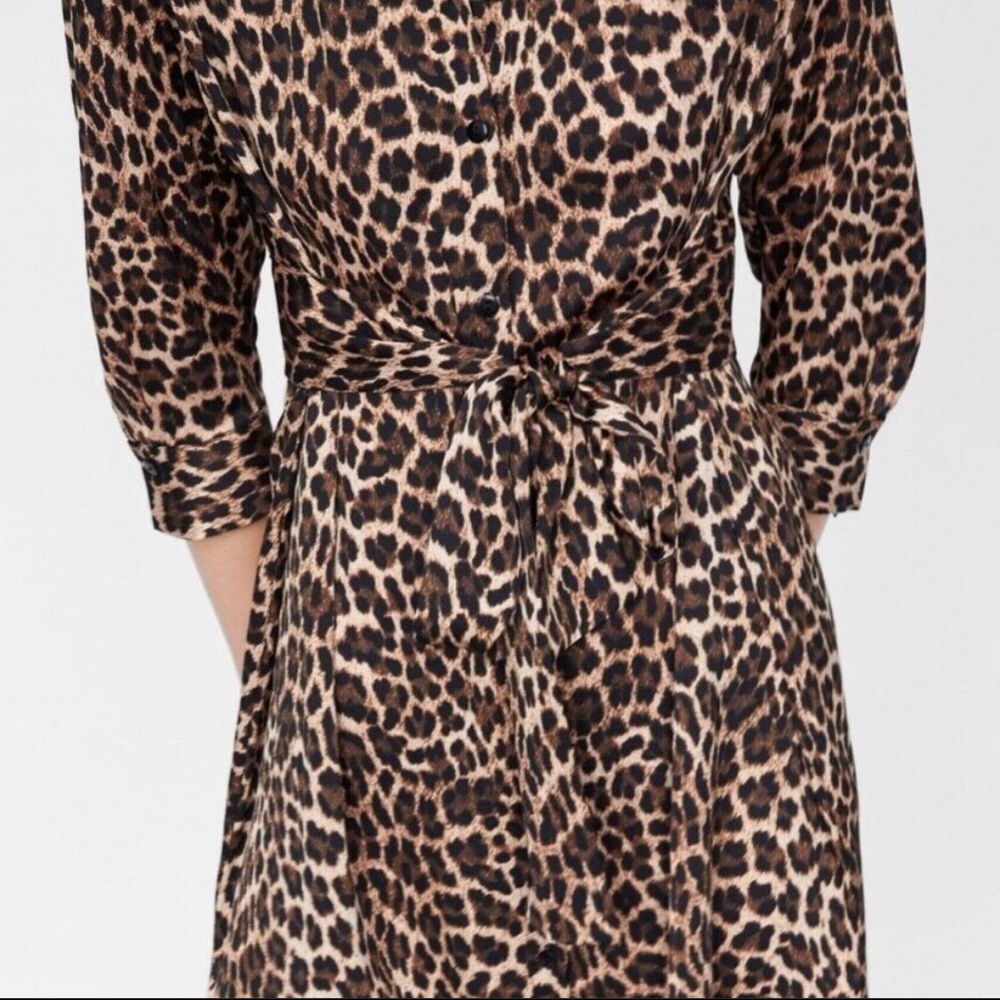 Zara Animal Print Dress - Picture 3 of 8